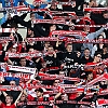 18.10.2014 FC Rot-Weiss Erfurt - Chemnitzer FC  2-0_12